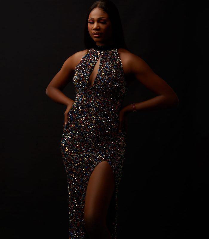 Farrah Dress – Black Multi Sequins ,
