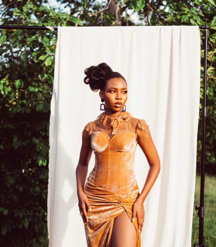 Serendipity Dress – Brownish Gold