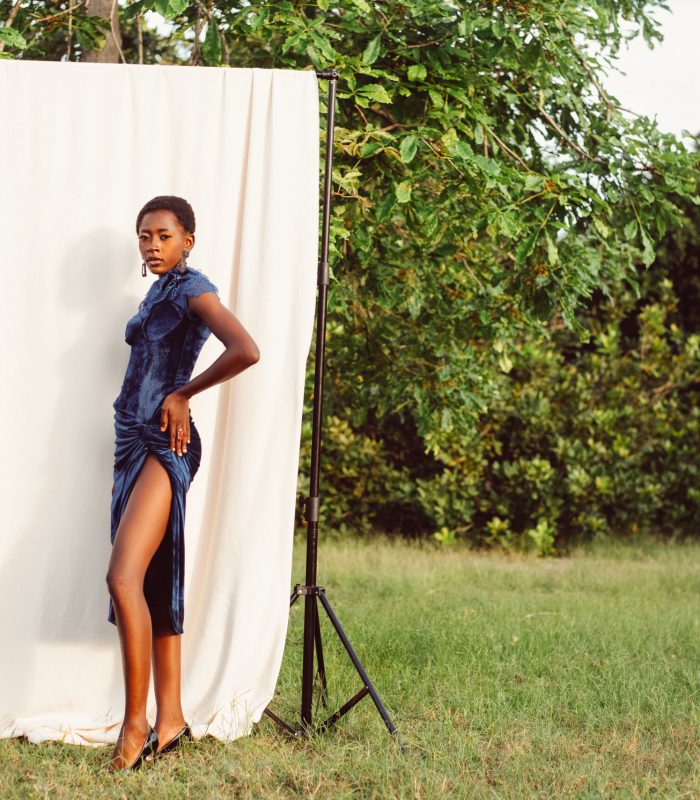 Serendipity Dress – Blue